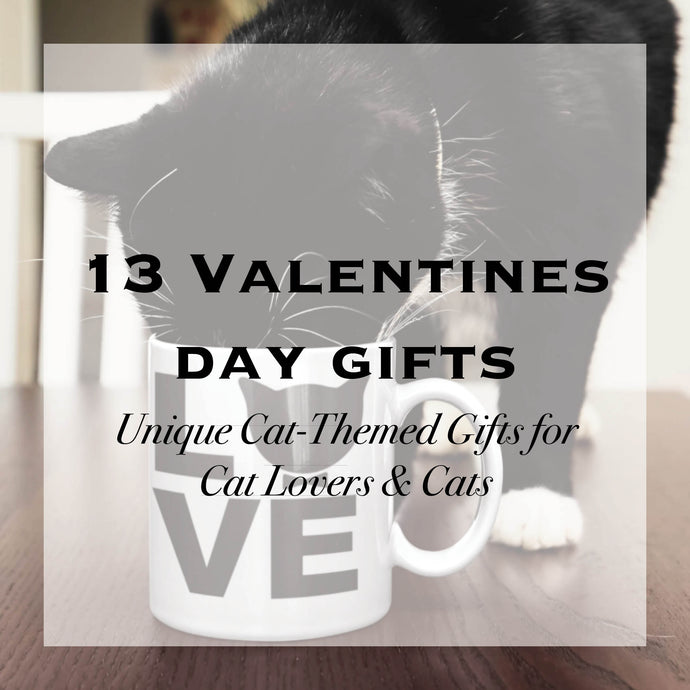 13 Cat Themed Valentines Day Gifts