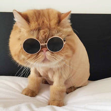 Load image into Gallery viewer, 70s Round Cat Sunglasses - Boujeecat
