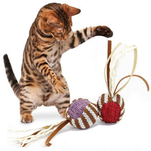Load image into Gallery viewer, Cat Ball Toy (Set of 2) - Boujeecat
