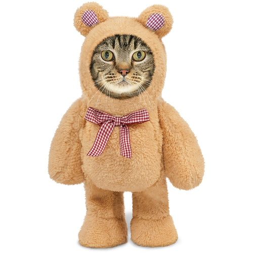 Teddy Bear Walking Cat Costume - Boujeecat