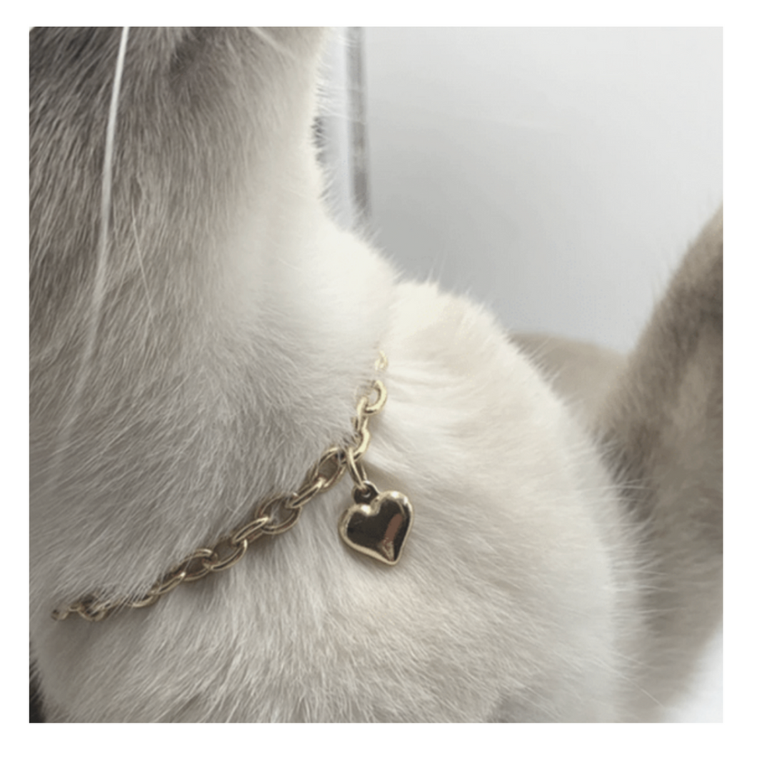 Gold Heart Necklace - Boujeecat