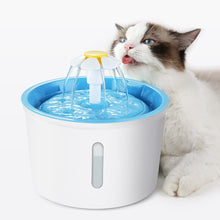 Load image into Gallery viewer, Daisy Filtered Water Fountain - Boujeecat
