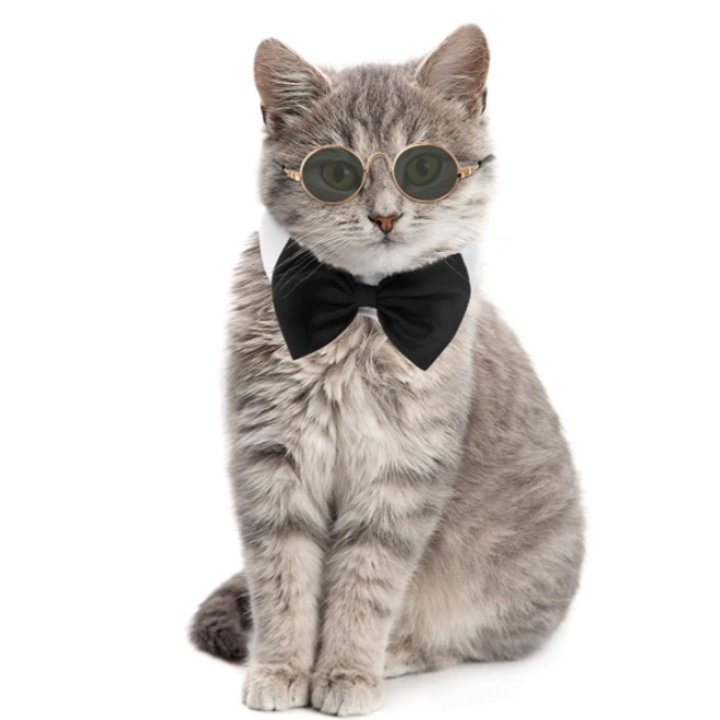 Cool Cat Bowtie and Sunglasses Set - Boujeecat