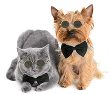 Load image into Gallery viewer, Cool Cat Bowtie and Sunglasses Set - Boujeecat
