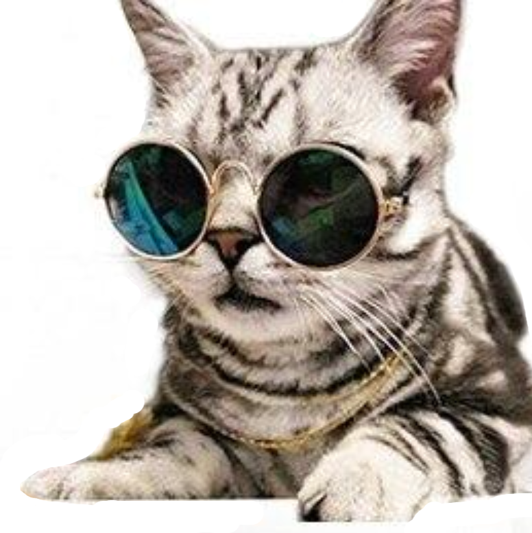 70s Round Cat Sunglasses - Boujeecat