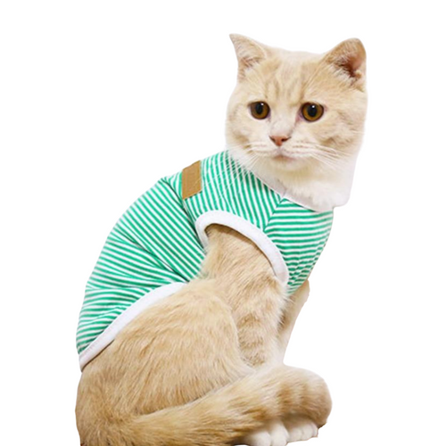 Cute Stripe Cat Tee - Boujeecat