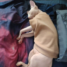 Load image into Gallery viewer, Sphynx Armless Sweater Shirt - Boujeecat
