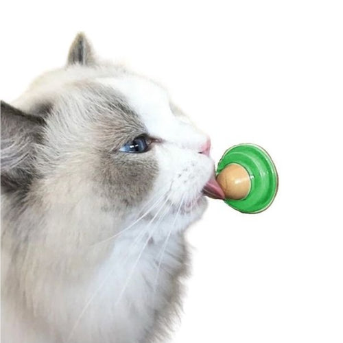 Lickin' Good Nutrition Ball - Boujeecat