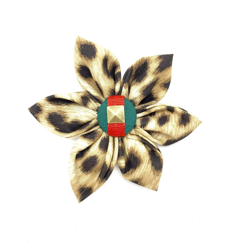 Designer GucciPet Leopard Collar Flower - Boujeecat