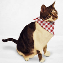 Load image into Gallery viewer, Retro Tablecloth Cat Bandana - Boujeecat
