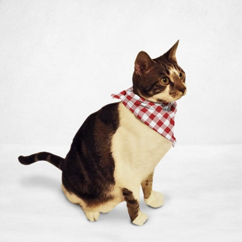 Retro Tablecloth Cat Bandana - Boujeecat