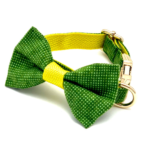 Green & Yellow Polka Dot Collar & Bow Tie Set - Boujeecat