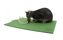 Load image into Gallery viewer, Cat Yoga Mat - Boujeecat
