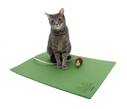Cat Yoga Mat - Boujeecat
