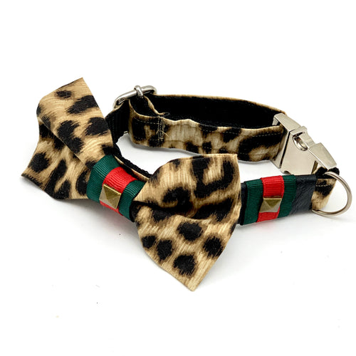Designer GucciPet Leopard Collar & Bow Tie Set - Boujeecat