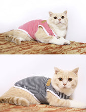Load image into Gallery viewer, Cute Stripe Cat Tee - Boujeecat
