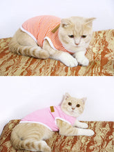 Load image into Gallery viewer, Cute Stripe Cat Tee - Boujeecat
