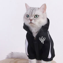 Load image into Gallery viewer, Cat Track Jacket - Boujeecat
