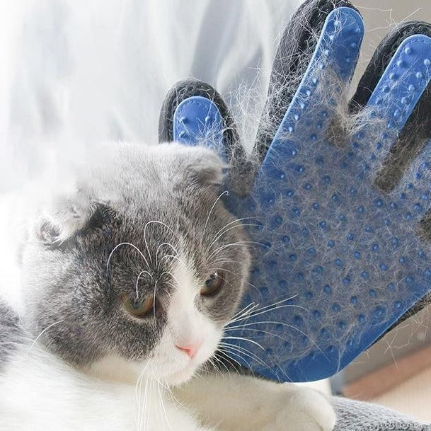 Hair Removal Shed Control Glove - Boujeecat