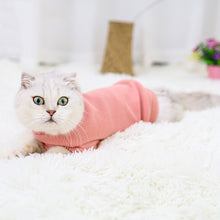 Load image into Gallery viewer, Sphynx Armless Sweater Shirt - Boujeecat
