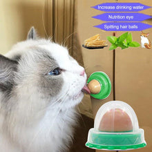 Load image into Gallery viewer, Lickin&#39; Good Nutrition Ball - Boujeecat
