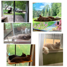 Load image into Gallery viewer, Window Mount Cat Hammock - Boujeecat
