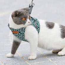 Load image into Gallery viewer, Cat Harness + Leash Set - Boujeecat
