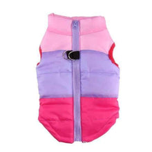 Load image into Gallery viewer, Sphynx Color Block Cat Puffy Coat - Boujeecat

